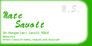 mate savolt business card
