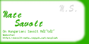 mate savolt business card